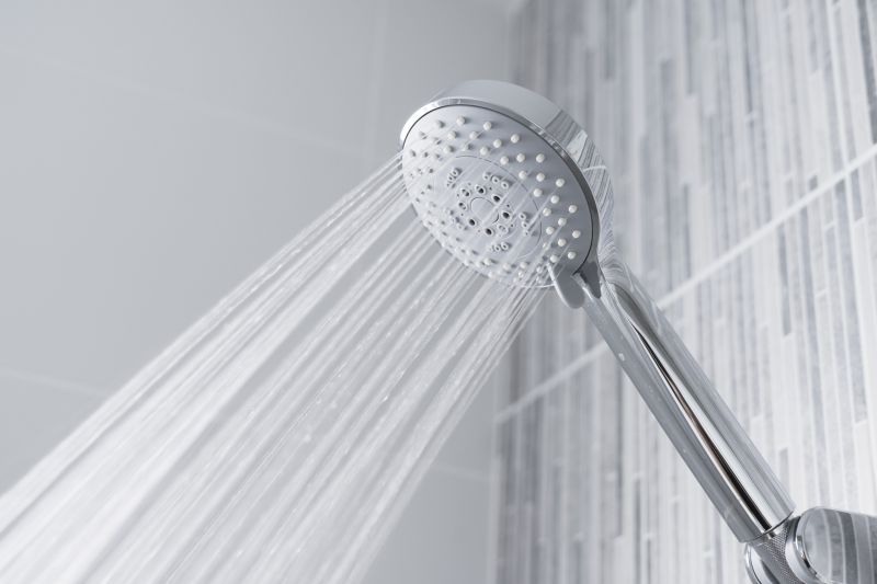 Rainfall Showerhead in Contemporary Bathroom